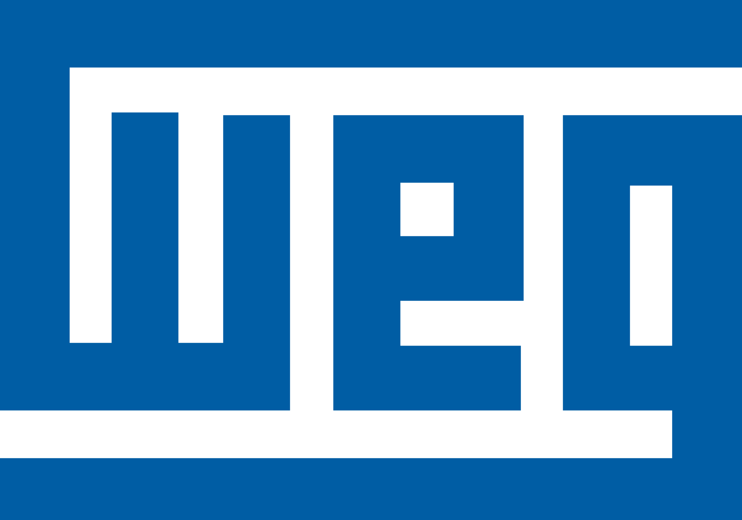 WEG_logo